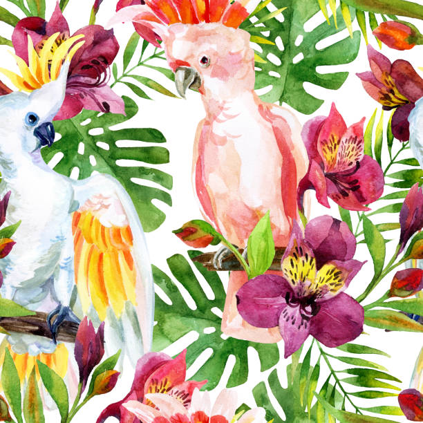 watercolor Australian Cockatoo seamless pattern watercolor Australian Cockatoo on flowers background, hand painted seamless patern with parrots, alstroemeria and tropical leaves vibrant color birds wild animals animals and pets stock illustrations