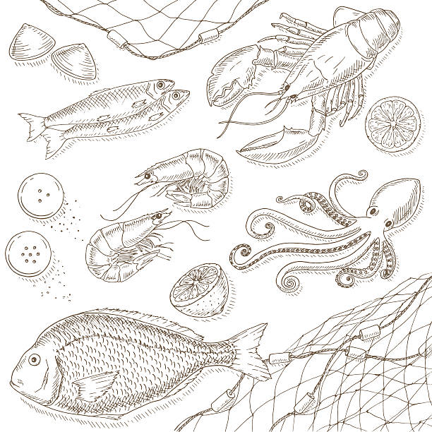 Seafood and fish set Seafood and fish set. Seafood hand drawn elements. Sea food and fish sketch illustrations. Fresh fish doodle. Seafood hand drawn vector. Seafood gourmet.Top view seafood set. commercial fishing net stock illustrations