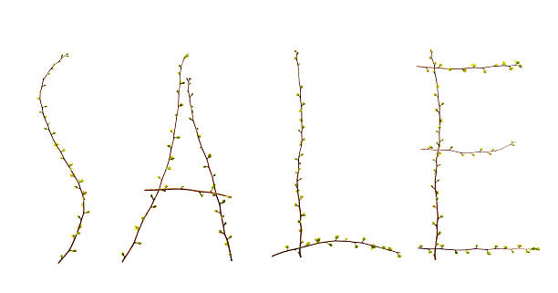 istock sale branches with leaves 509049154