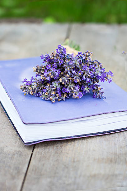 istock bouquet of lavender and diary 509049909