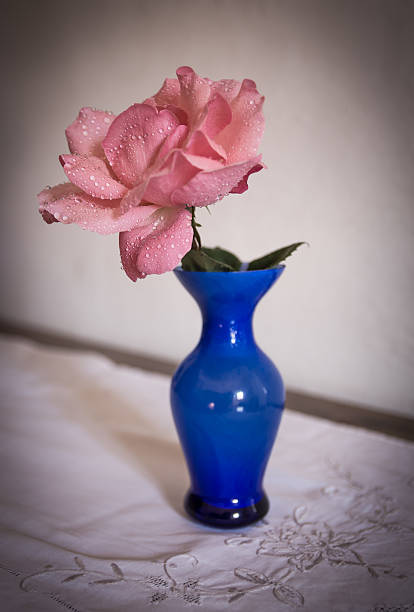 pink flower drops vase petals nature 