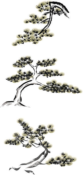 illustrations, cliparts, dessins animés et icônes de peinture à l'encre de pins - evergreen tree pine tree painted image watercolour paints