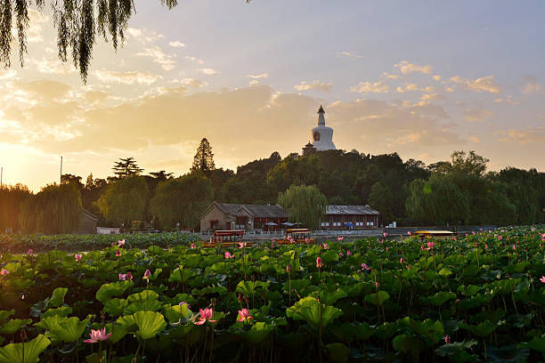istock The White Dagoba on Qionghua Island 509051151