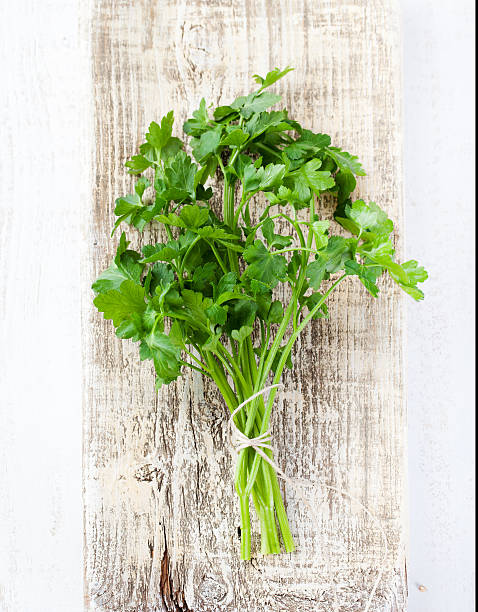 istock Organic fresh Parsley on grey wooden background 509052102