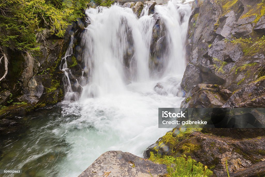 Waterfall on the Paradise River, Mt. Rainier National Park, Washington Beauty In Nature Stock Photo