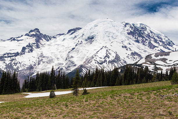istock The north face of Mt. Rainier 509052695