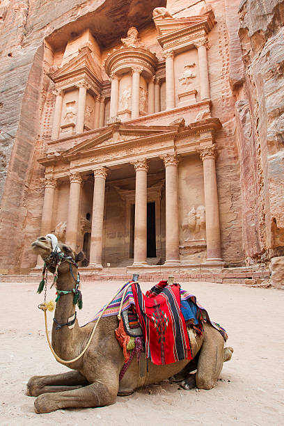 istock The Treasury at Petra, Jordan 509052705