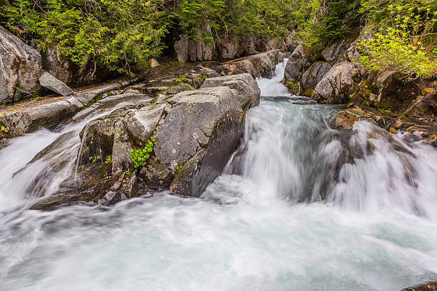 Rapids on the Paradise River, Mt. Rainier National Park, Washington stock photo