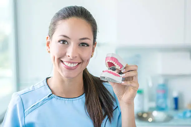 Happy dentist holding a denture and looking at the camera smiling - oral health concepts