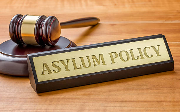 istock Gavel and a name plate with the engraving Asylum Policy 509053322
