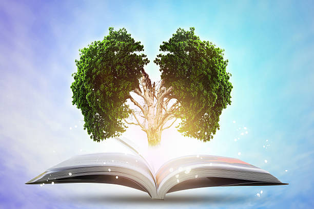istock Book of growing knowledge with brains big tree. 509053988