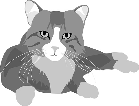A vector silhouette illustration of a kitten laying down looking forward.
