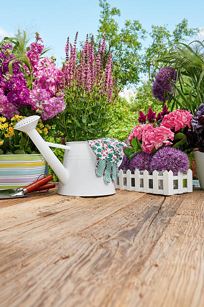 istock Gardening tools on wood table in the garden 509054530