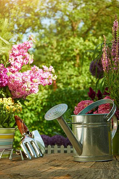 istock Gardening tools on wood table in the garden 509054648