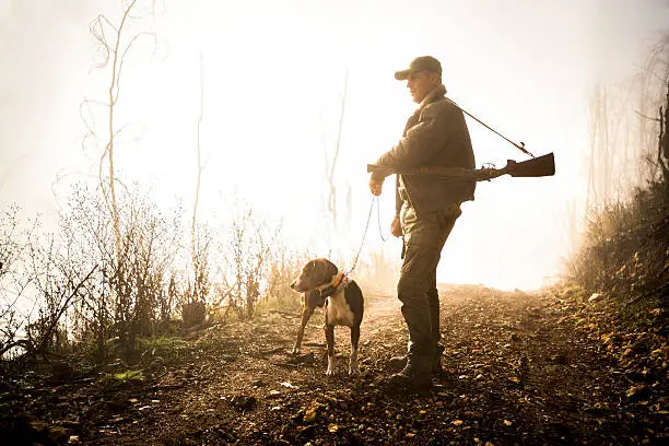 Photo of Hunter with dog in the forest