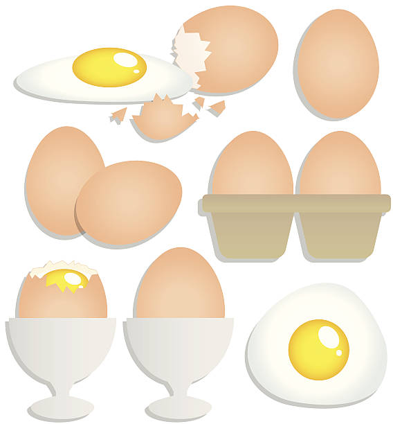 illustrazioni stock, clip art, cartoni animati e icone di tendenza di set di uova in sfondo bianco - white background brown animal egg ellipse