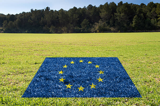 la protección del medio ambiente en la ue - europe european union currency euro symbol european union flag fotografías e imágenes de stock