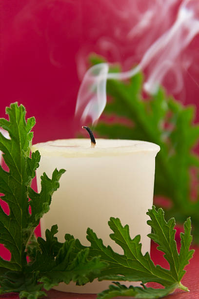 citronella candela - candle lemon grass insect repellant insect foto e immagini stock