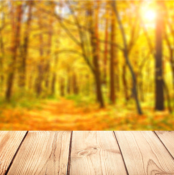 istock Old desk and nature background 509080815
