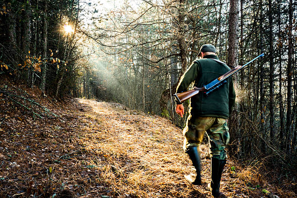 охотник в лесу с винтовка - rifle range стоковые фото и изображения