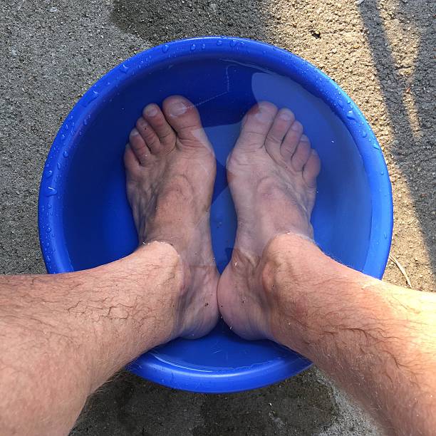 Feet in water bowl stock photo