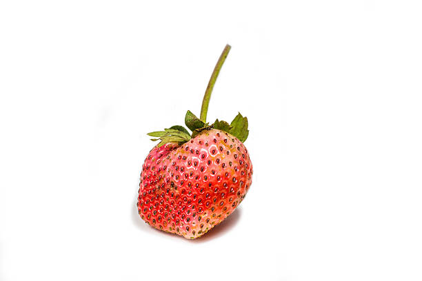 istock Strawberry close up on white background 509092772