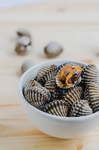 istock steamed blanched clams in white bowl on wooden background 509092920