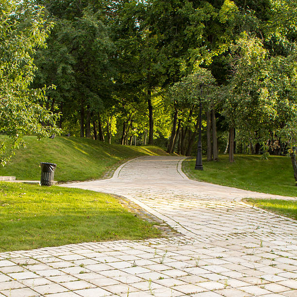 istock stone-paved alley in the park 509094174