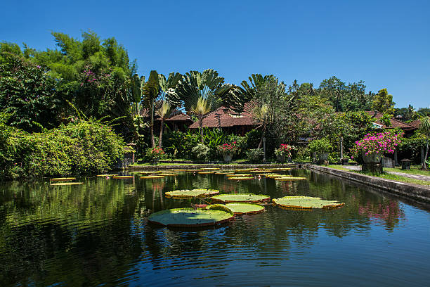 istock Karangasem water temple palace in Bali, Indonesia 509097938