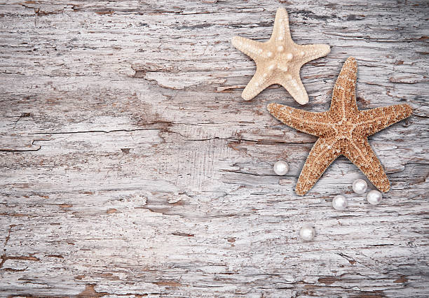 istock Grunge background with seashells and pearls on the old wood 509098566