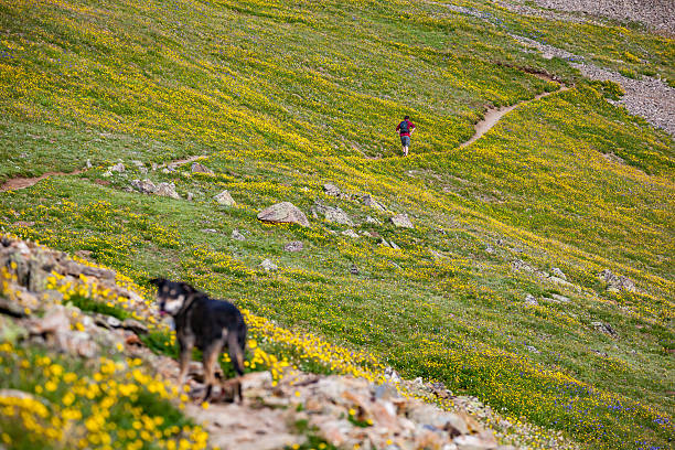 istock nature man dog landscape recreation 509100496