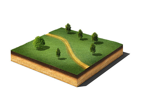 istock ground cutaway with grass, trees and footpath isolated on white 509100558