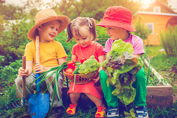 Little boyы and girl with vegetables on a farm 