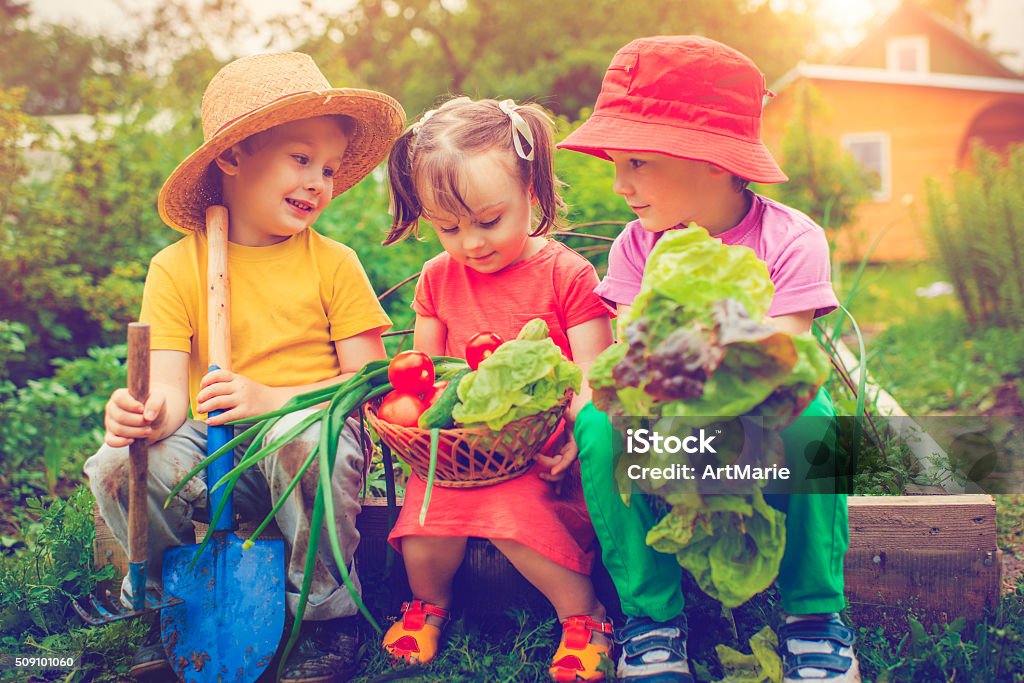 Farm living Little boyы and girl with vegetables on a farm  Child Stock Photo