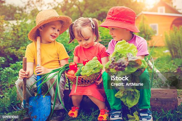 Farm Living Stock Photo - Download Image Now - Child, Vegetable Garden, Gardening
