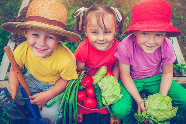 istock Farm living 509101168