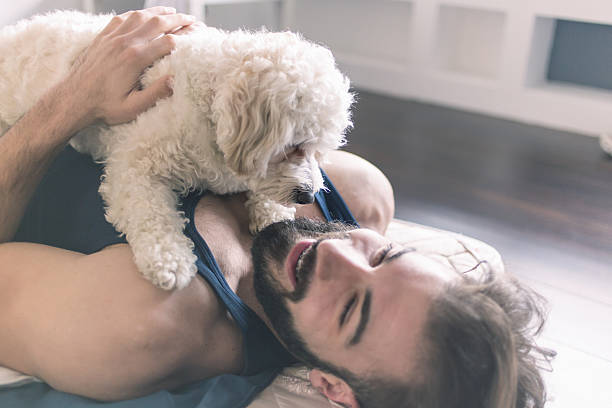 istock Handsome man playing with his dog while laying in bed 509103414
