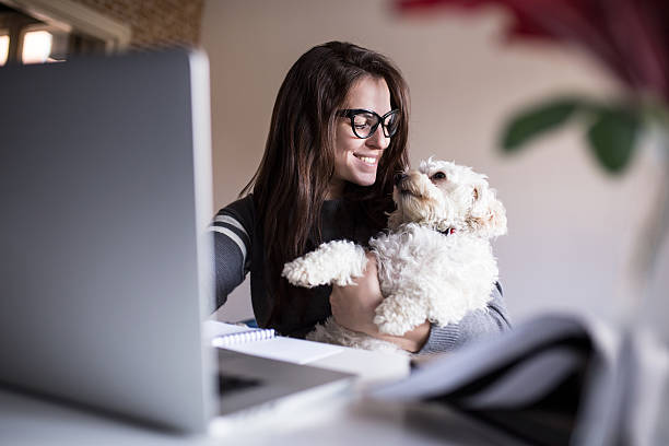 olhe pra mim pouco. mulher e o cachorro - dog pets stroking women - fotografias e filmes do acervo