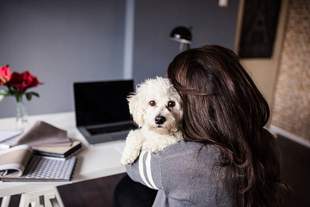istock Woman hugging her puppy, back view, home office 509104460