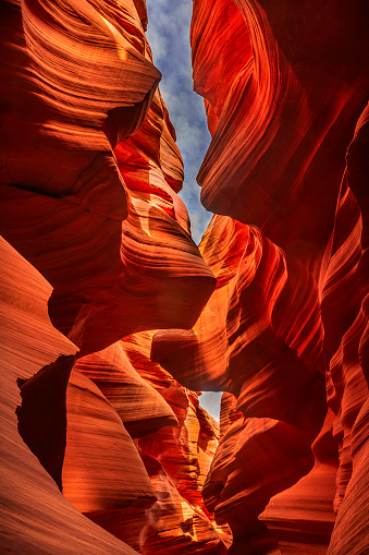 /id/509105448/photo/antelope-... /id/509105448/photo/antelope-...