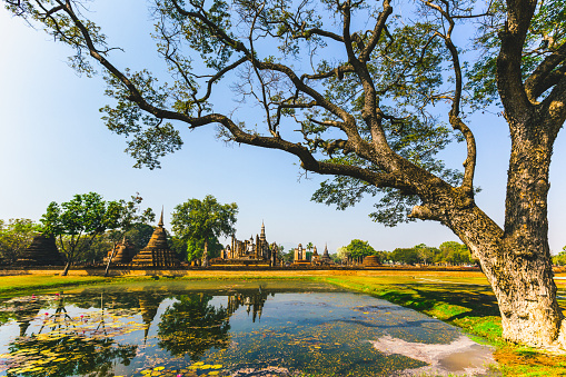 Gardens in Sukhothai temple