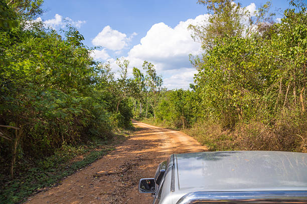 istock Kui Buri Elephant National Park Thailand 509107436