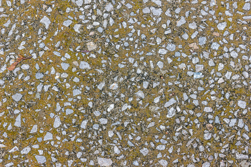 old concrete floor texture, moss on concrete texture