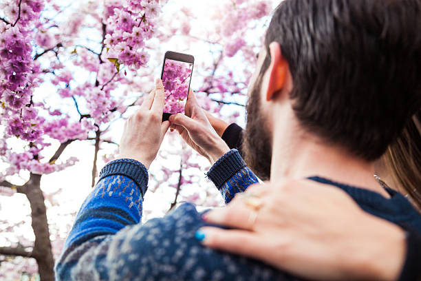 istock Young couple fall in love under a beautiful cherry tree 509111382