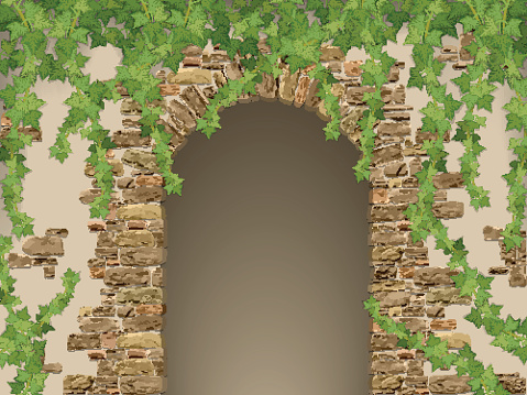 Arch of stones and hanging ivy. Entrance to the cave or cellar wreathed with  vines. (vector texture of stone contains elements auto-tracing)