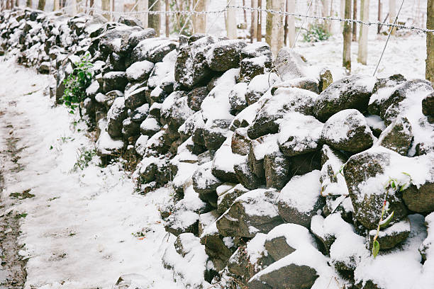Frost covering moss on a dry stone wall