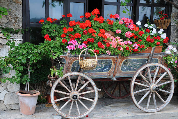 istock Flowers in the Cart 509116619