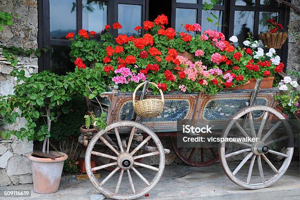 Flowers In The Cart Stock Photo - Download Image Now - Animal-Powered Vehicle, Basket, Blossom