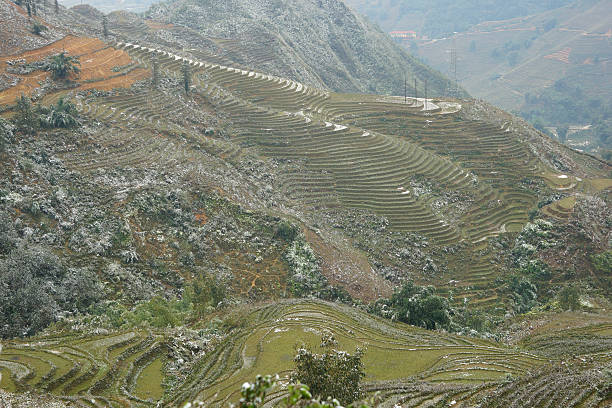 istock gorgeous farm fields, rice paddy terraces covered in snow 509117814