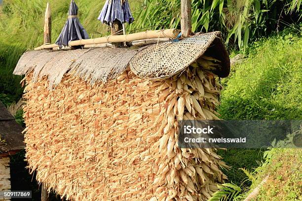 Foto de Pilha Da América Central Sobre Espigas De Milho Tolkalandruknepal 0564 e mais fotos de stock de Agricultura